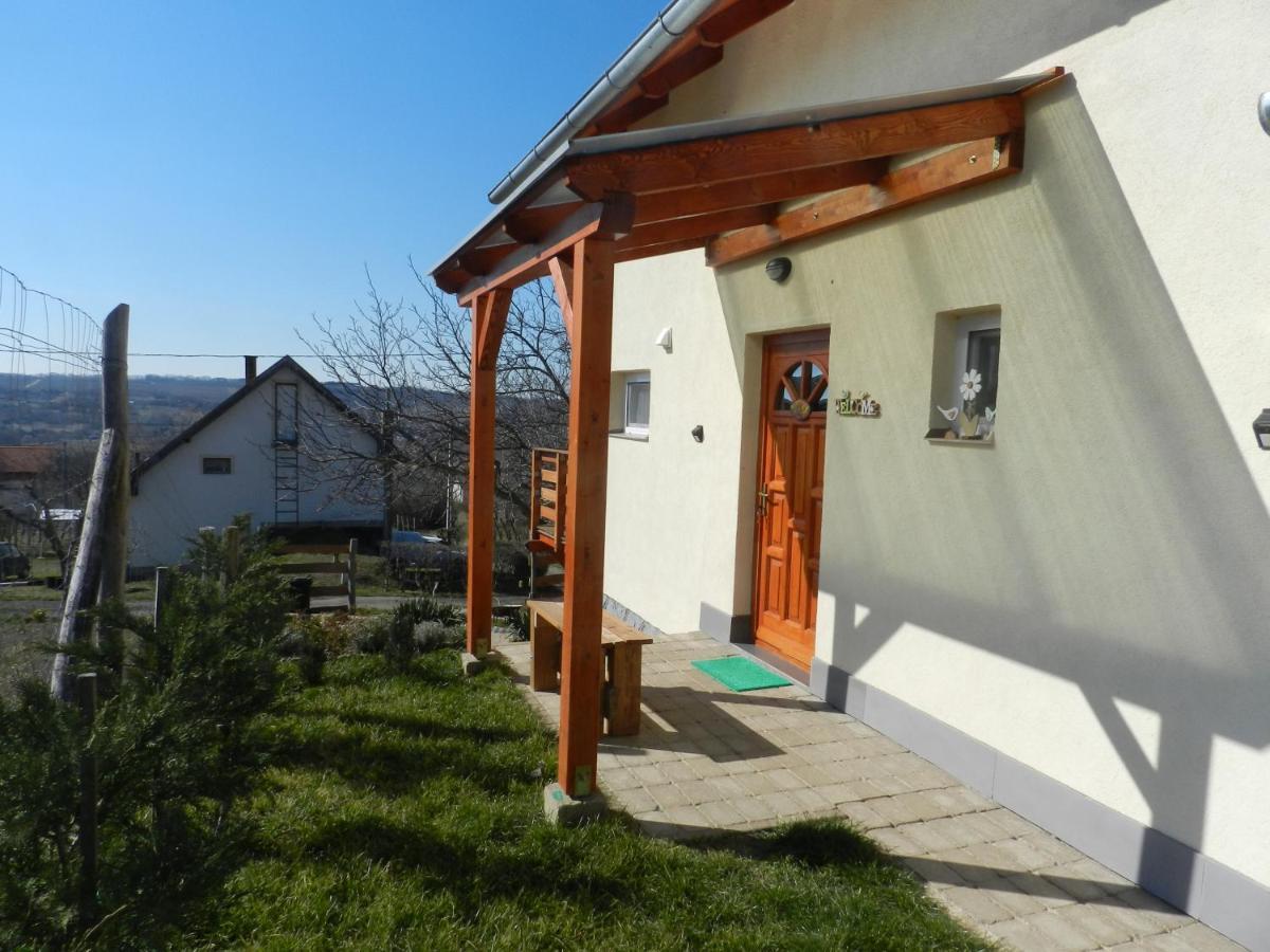 Szamoca Vendeghaz-Koroeshegy Villa Exterior photo